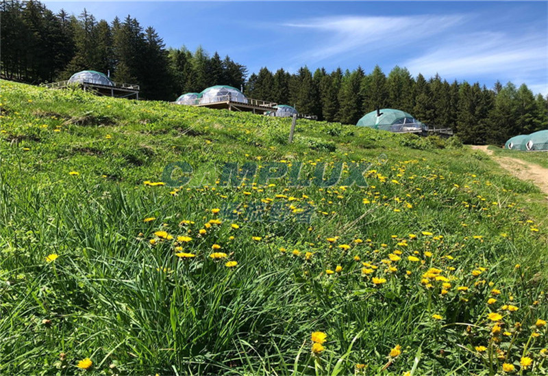 http://njbrjk.cn/data/images/case/20190909164600_315.jpg